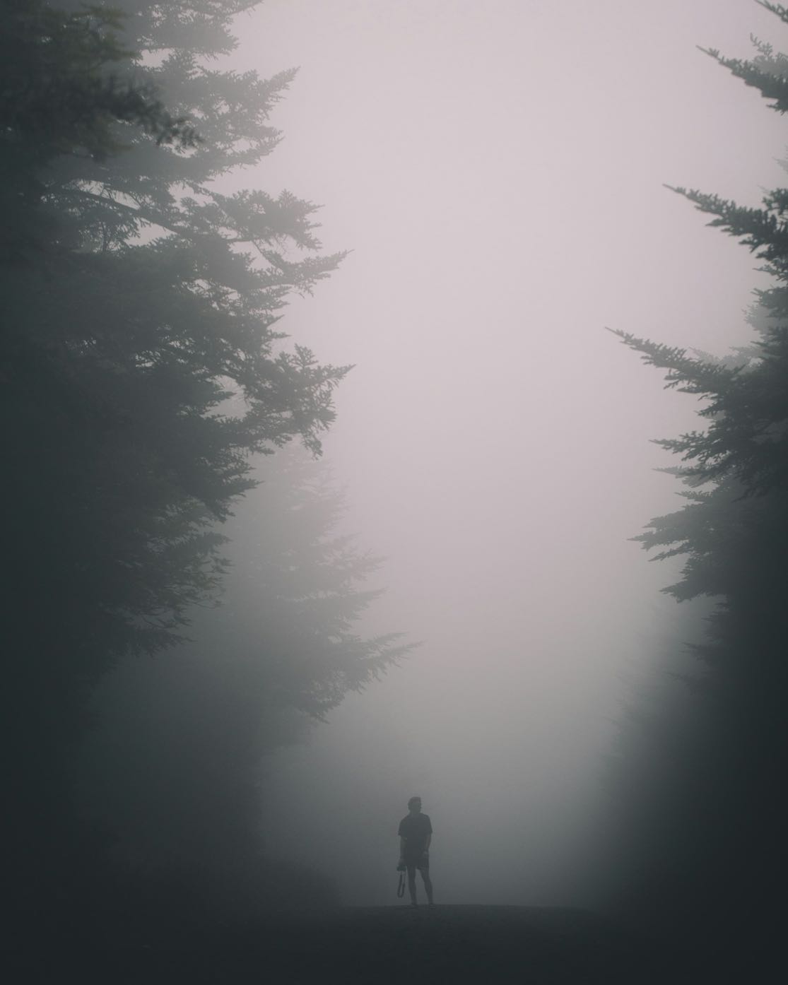 Fog background