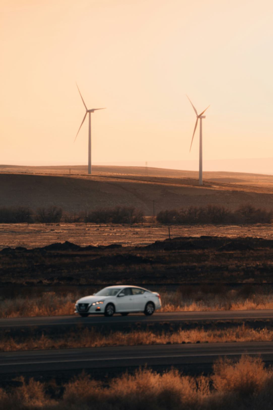 Wind background